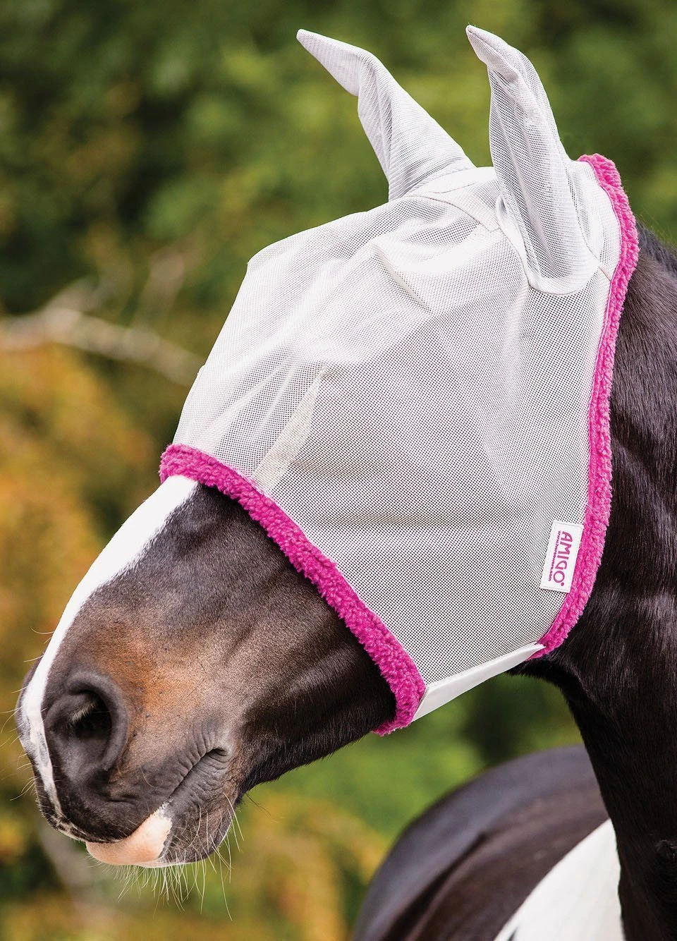 Amigo Fly Mask - Silver/Purple