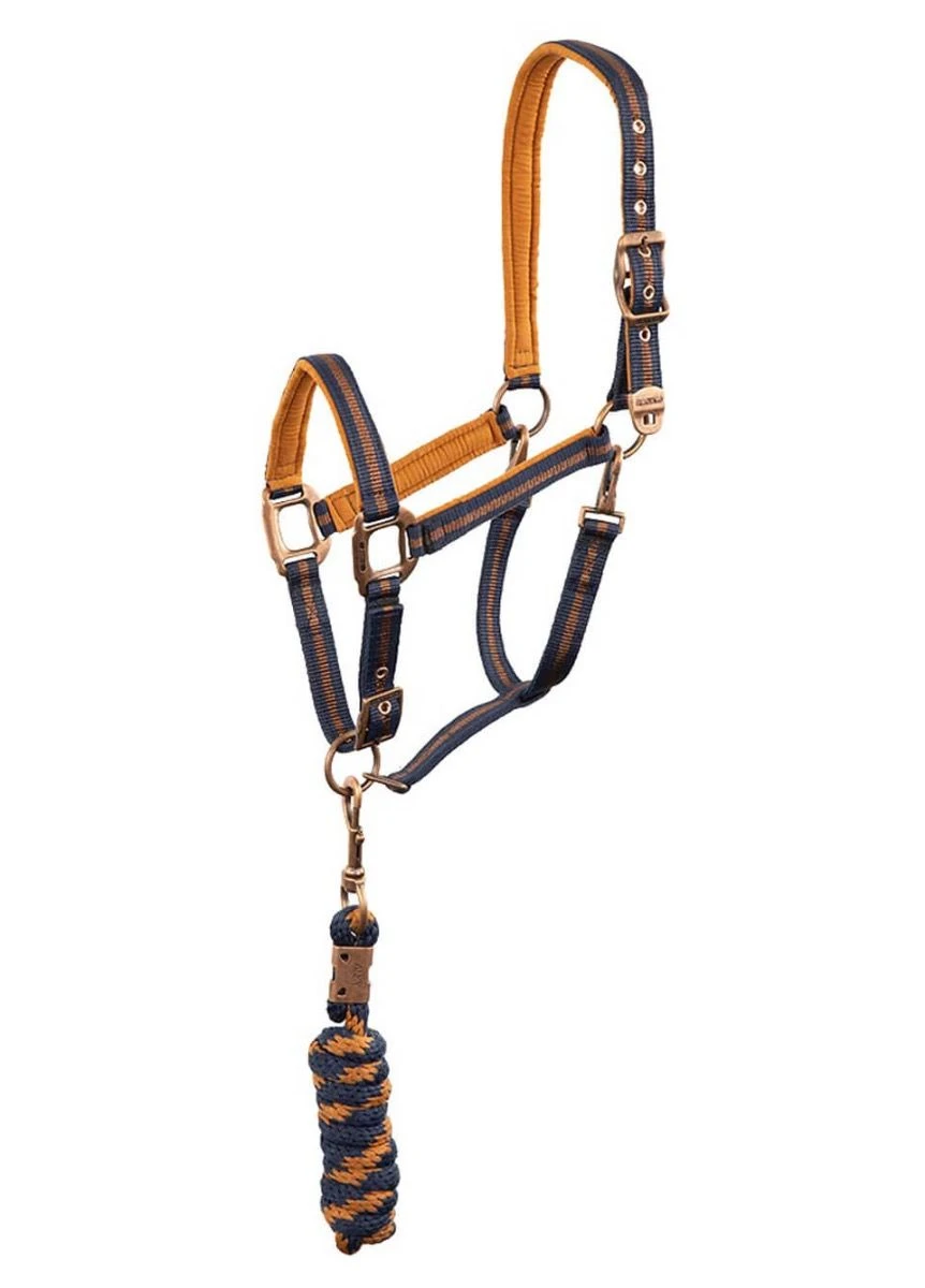 Anky Halter & Lead - Dark Navy