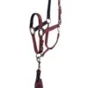 Anky Halter & Lead - Tawny Port