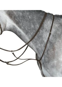 Collegiate Running Martingale IV - Brown