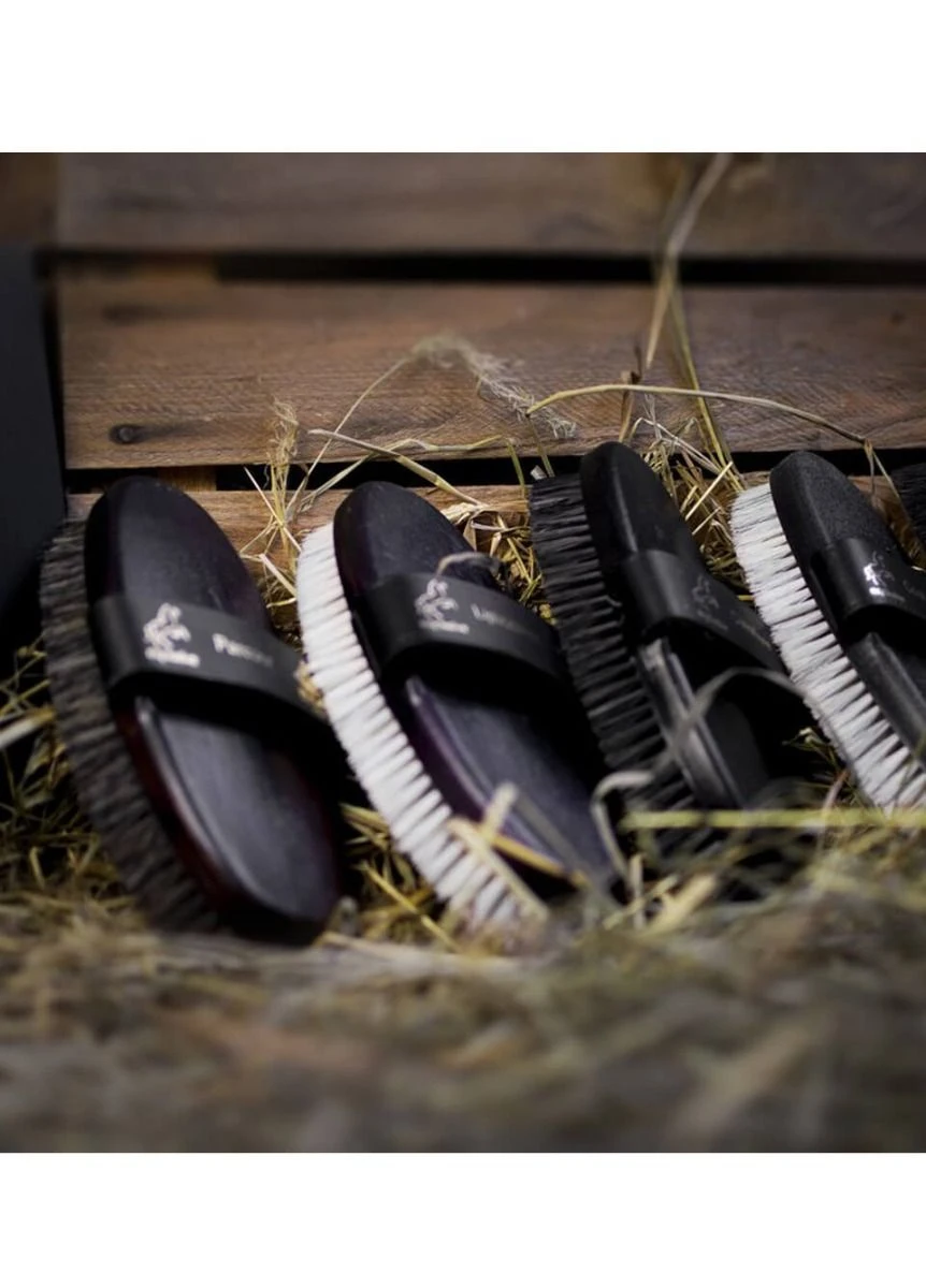 Eqclusive Brush Set For Black/Bays - Image 2