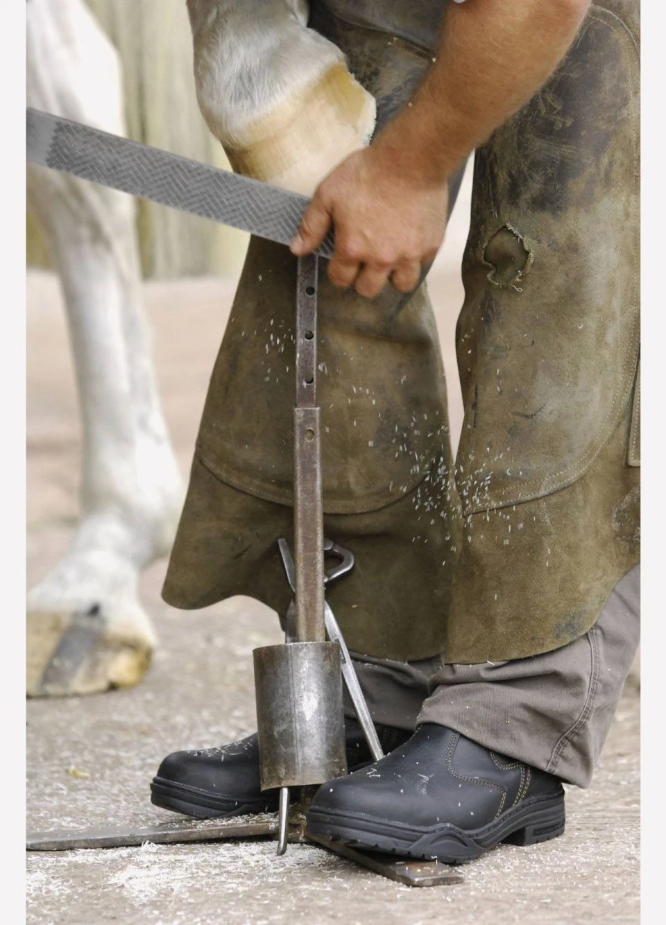 Mountain Horse Protective Jodphur Boots - Dark Brown