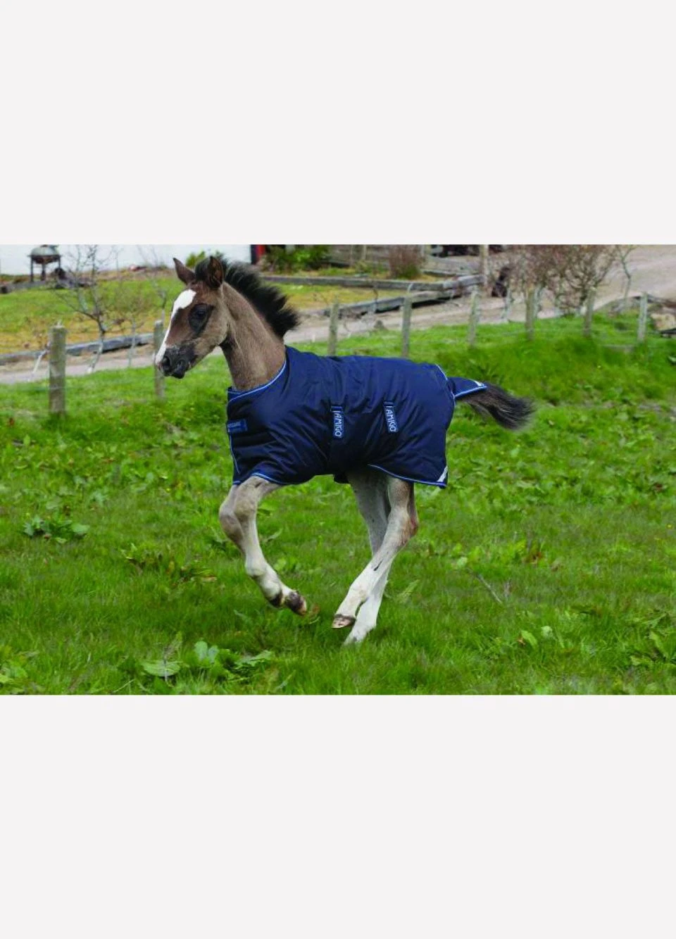 Amigo Foal Turnout/Stable Rug - Navy - Image 2