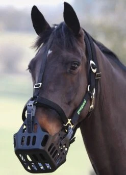 Greenguard Muzzle - Black