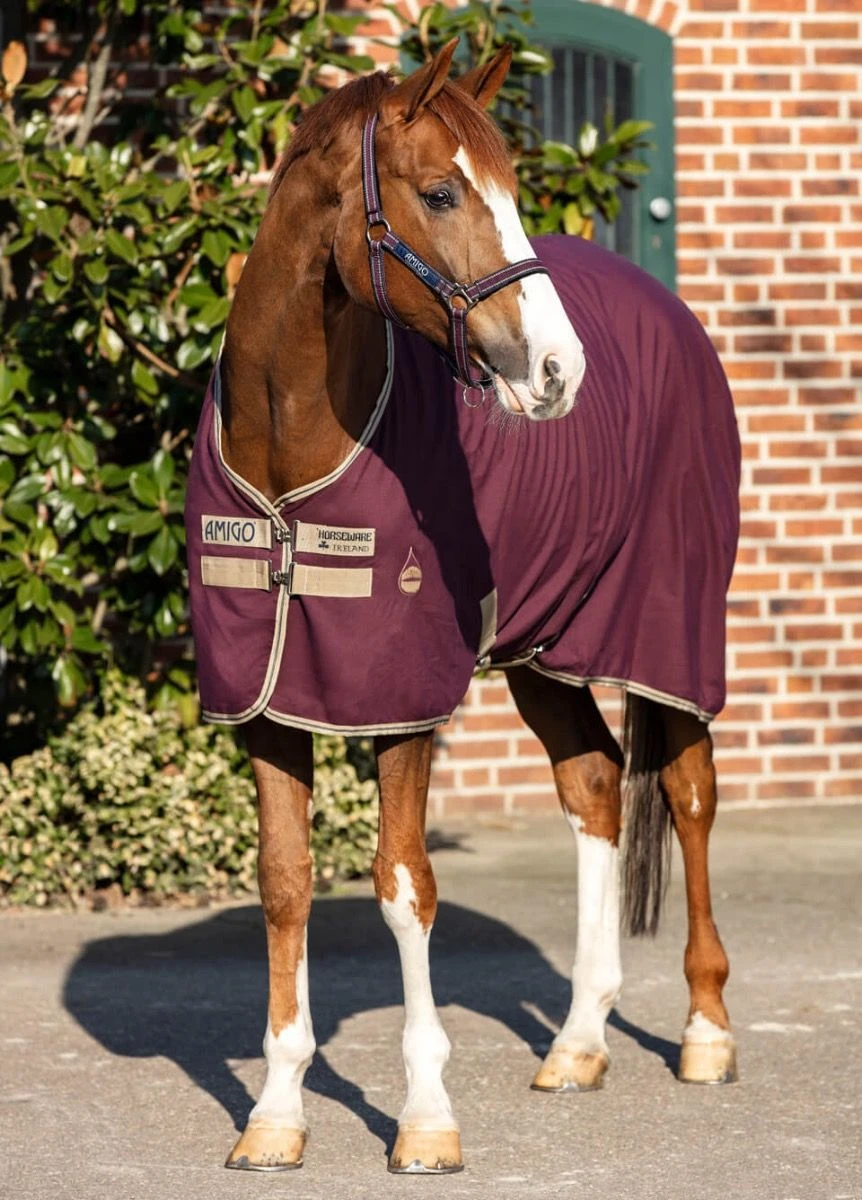 Amigo Stable Sheet - Fig