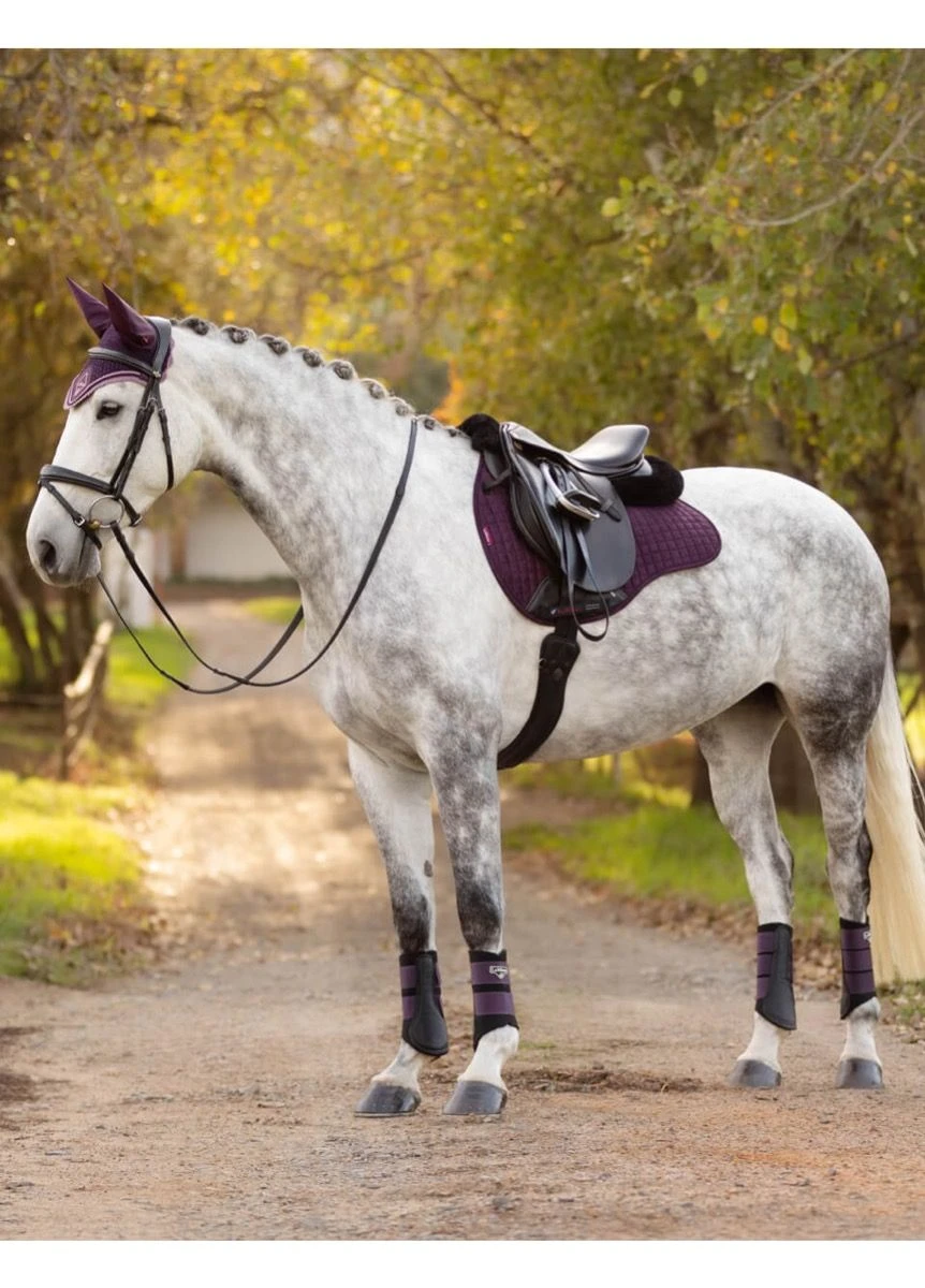 LeMieux Suede GP Square - Fig - Image 2
