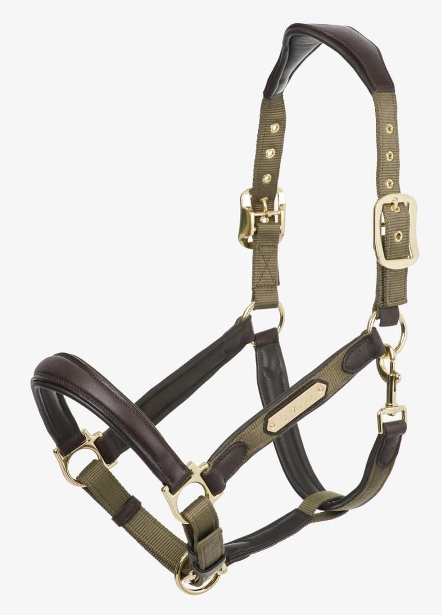 LeMieux Capella Headcollar - Forest