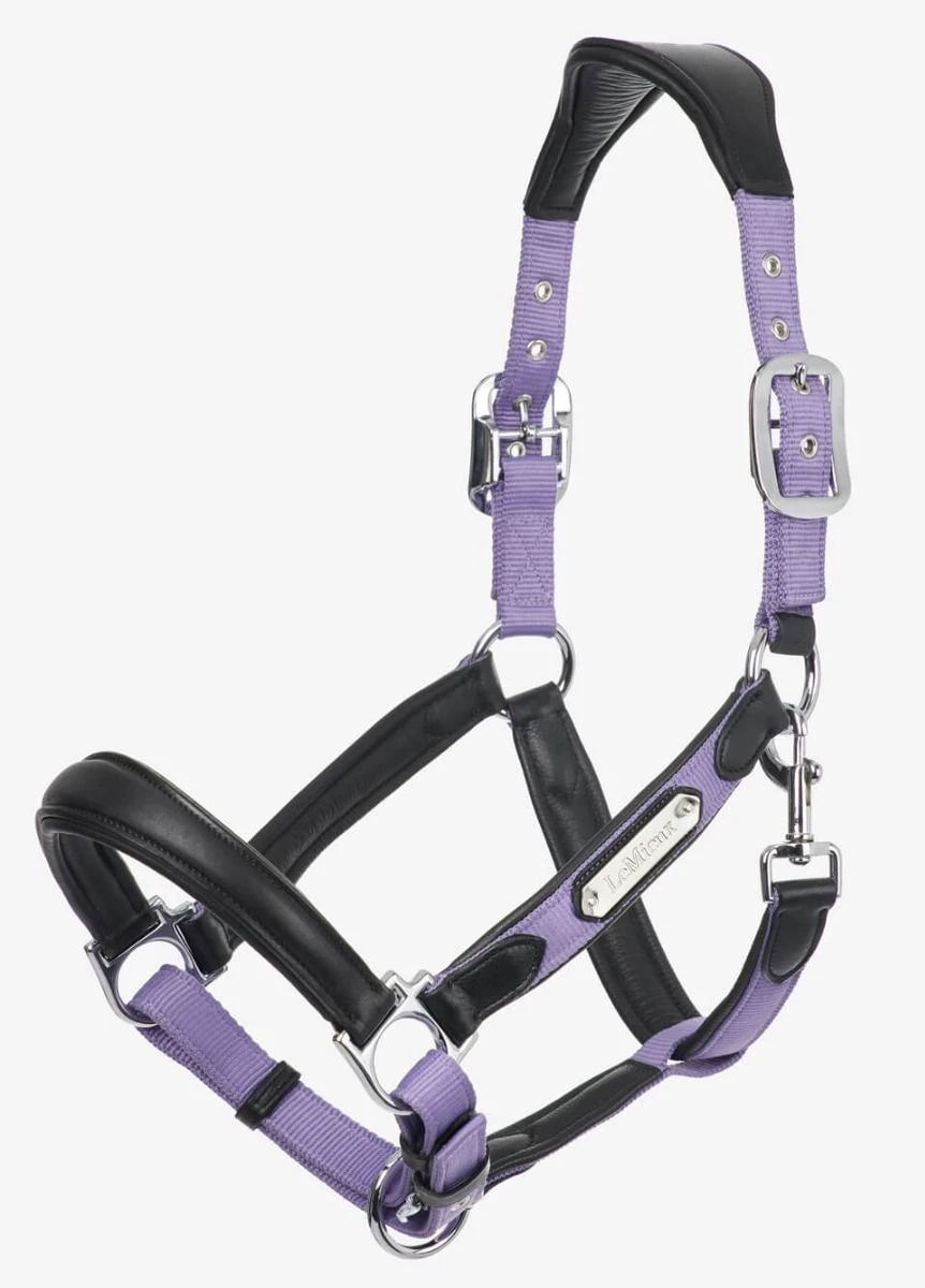 LeMieux Capella Headcollar - Iris