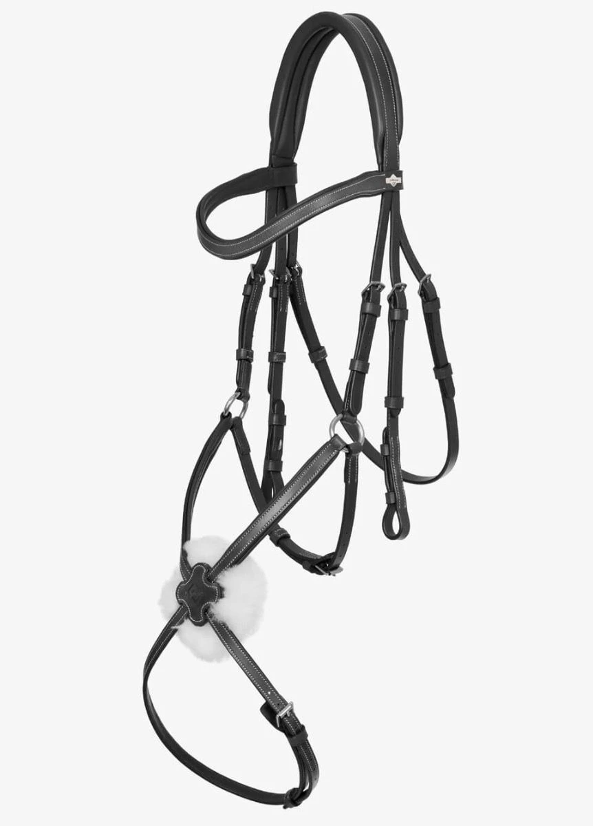 LeMieux Arika Grackle Bridle - Black/Silver - Image 2