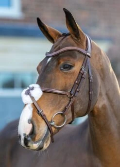 LeMieux Arika Grackle Bridle - Havana/Silver