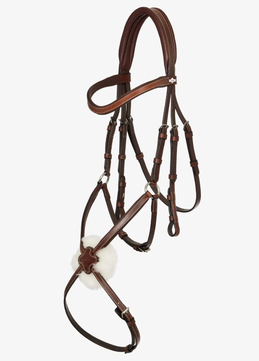 LeMieux Arika Grackle Bridle - Havana/Silver - Image 2