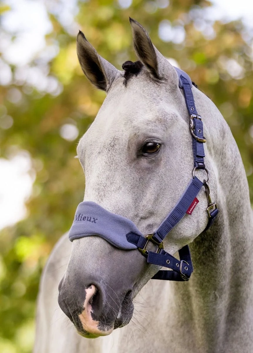 LeMieux Vogue Fleece Headcollar & Leadrope - Indigo - Image 2