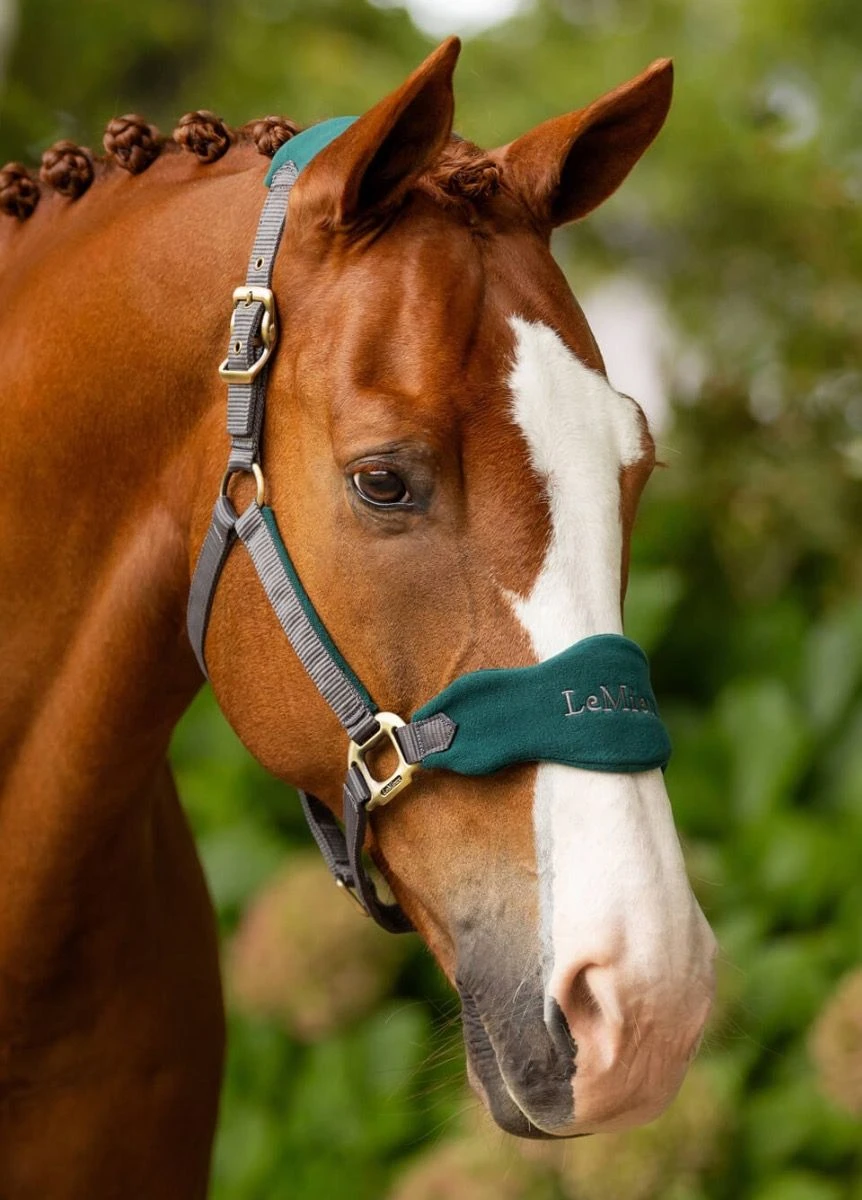 LeMieux Vogue Fleece Headcollar & Leadrope - Spruce - Image 2