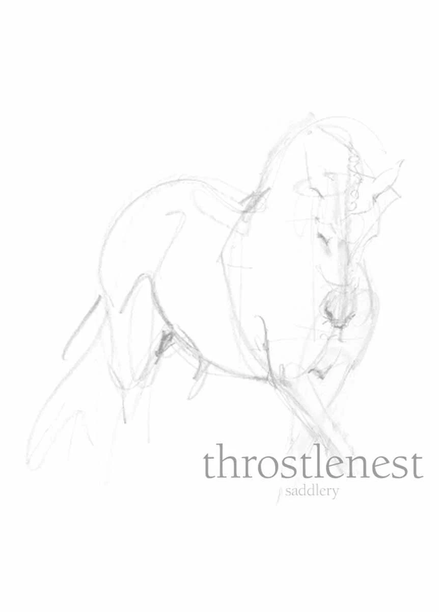 LeMieux Young Rider Base Layer - Orchid - Image 2