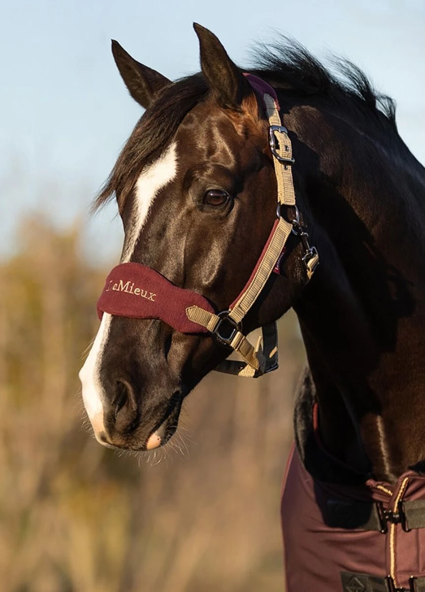 LeMieux Vogue Fleece Headcollar & Leadrope - Rioja - Image 2