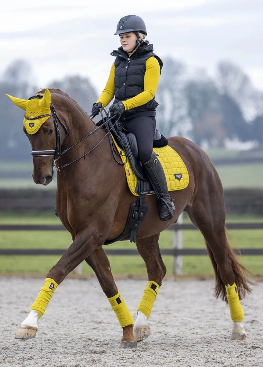 LeMieux Loire Polo Bandages - Dijon - Image 2