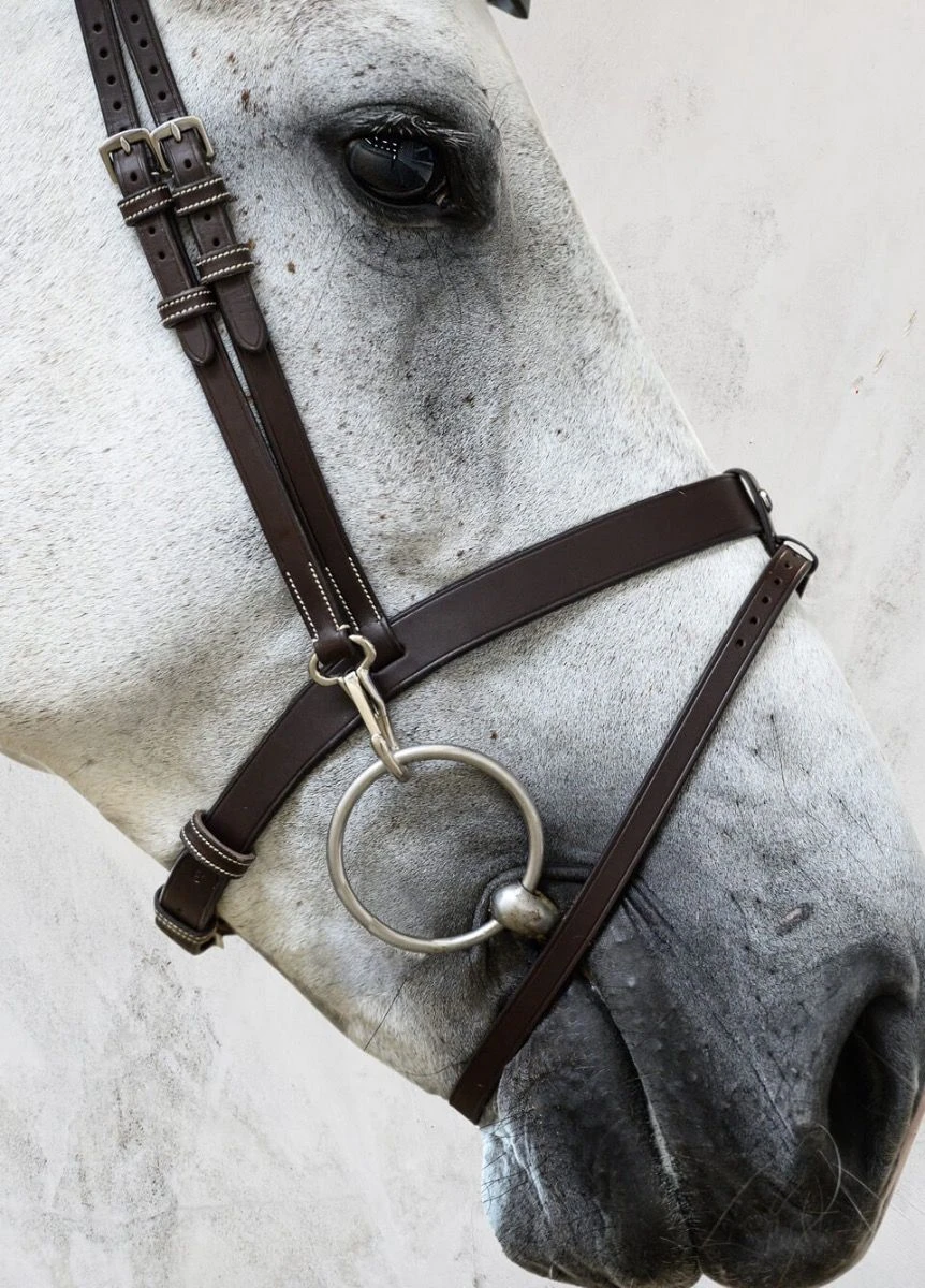 PS Of Sweden London Bridle - Black - Image 2