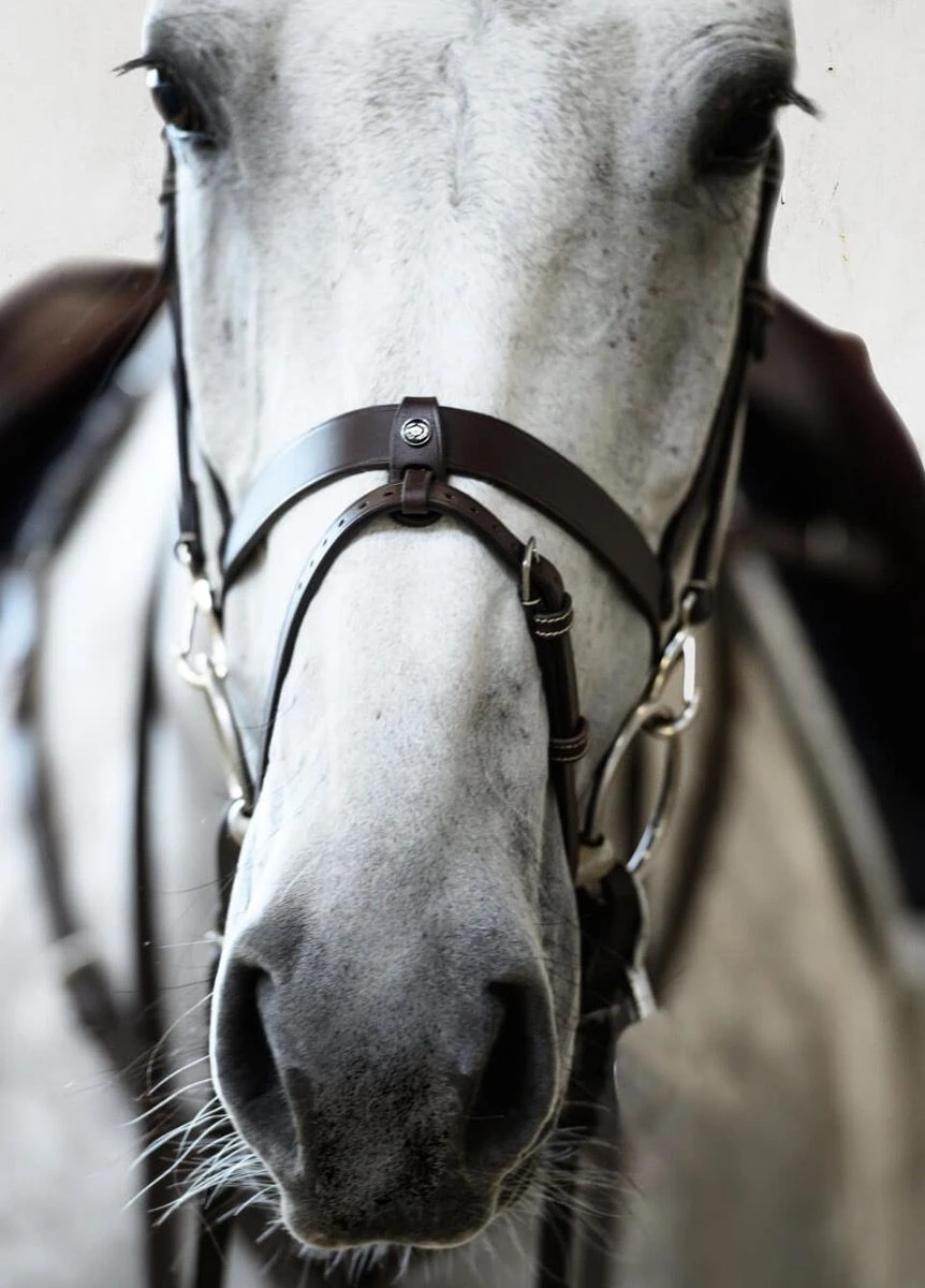 PS Of Sweden London Bridle - Black - Image 3