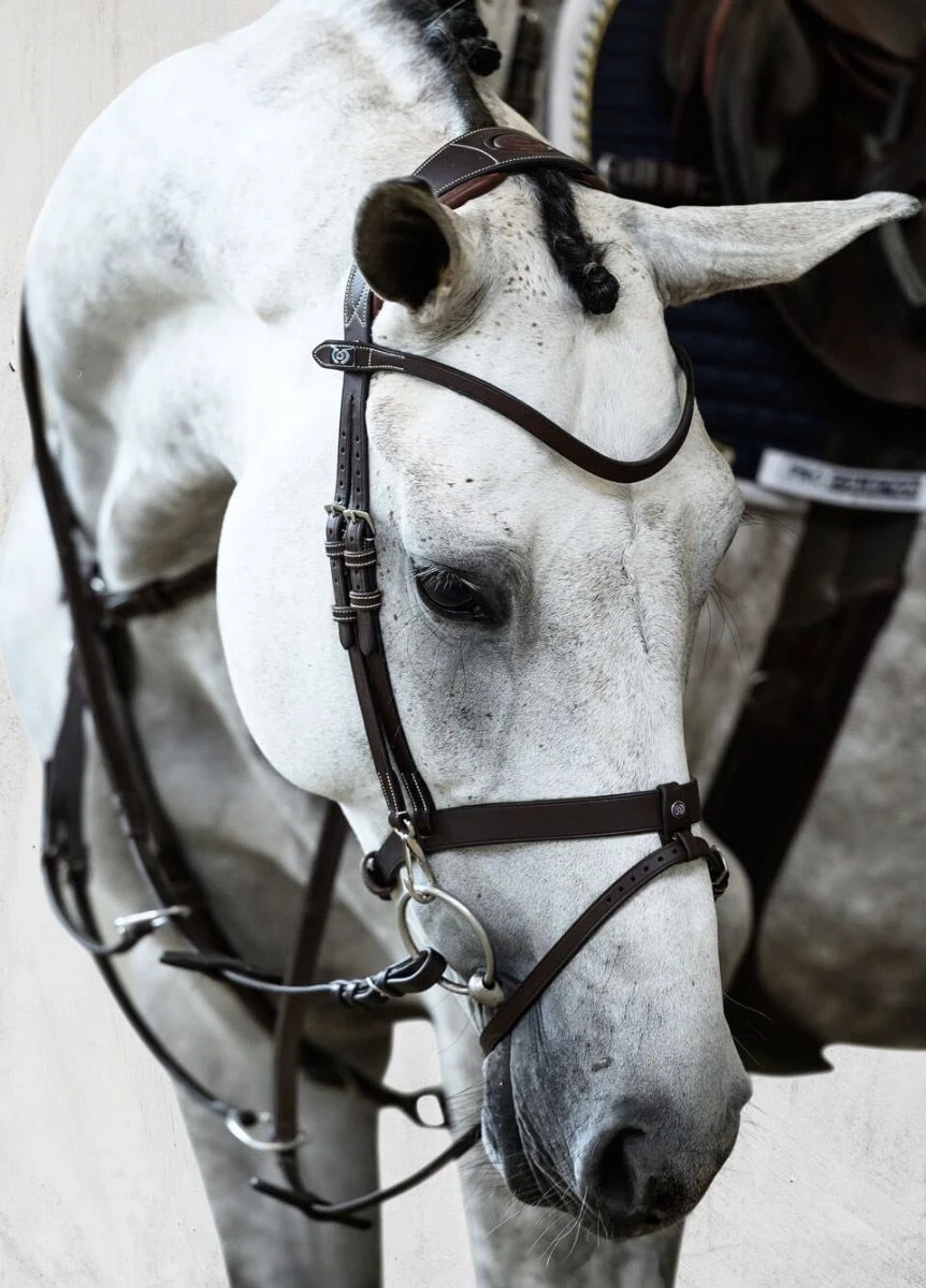 PS Of Sweden London Bridle - Black