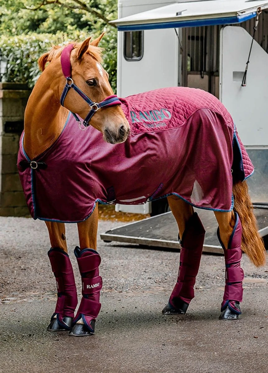 Rambo Travel Series - Burgundy/Teal/Navy