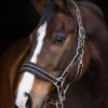Rambo Padded Headcollar - Witney/Brown