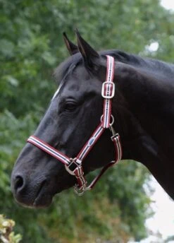 Weatherbeeta Coordinate Headcollar - Ruby