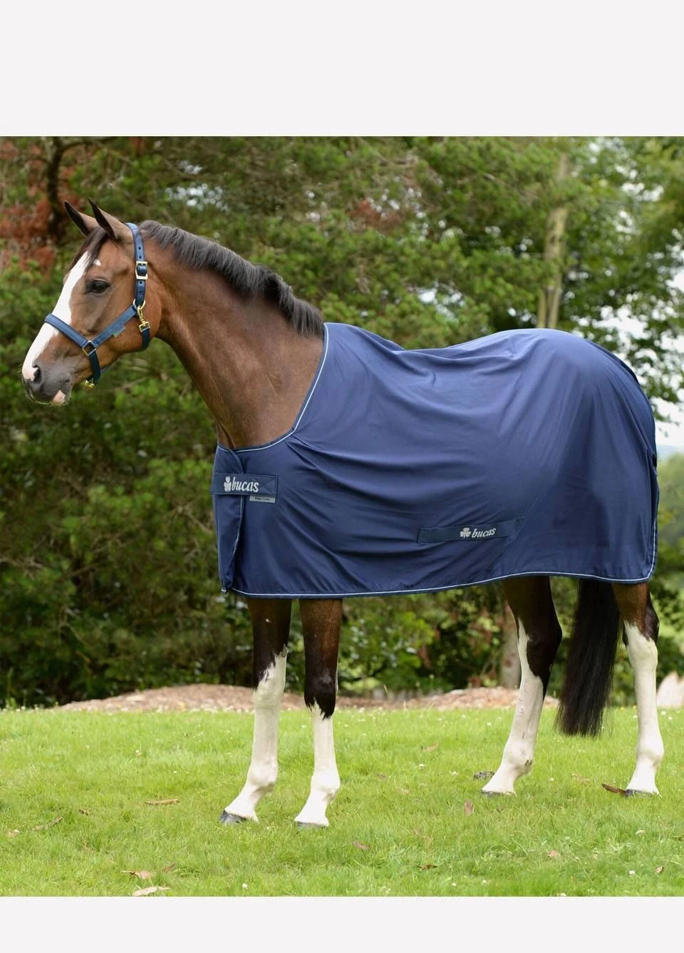 New Bucas Shamrock Power Rug - Navy - Image 2