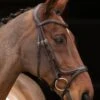 Shires Velociti Rapida Comfort Flash Bridle - Havana