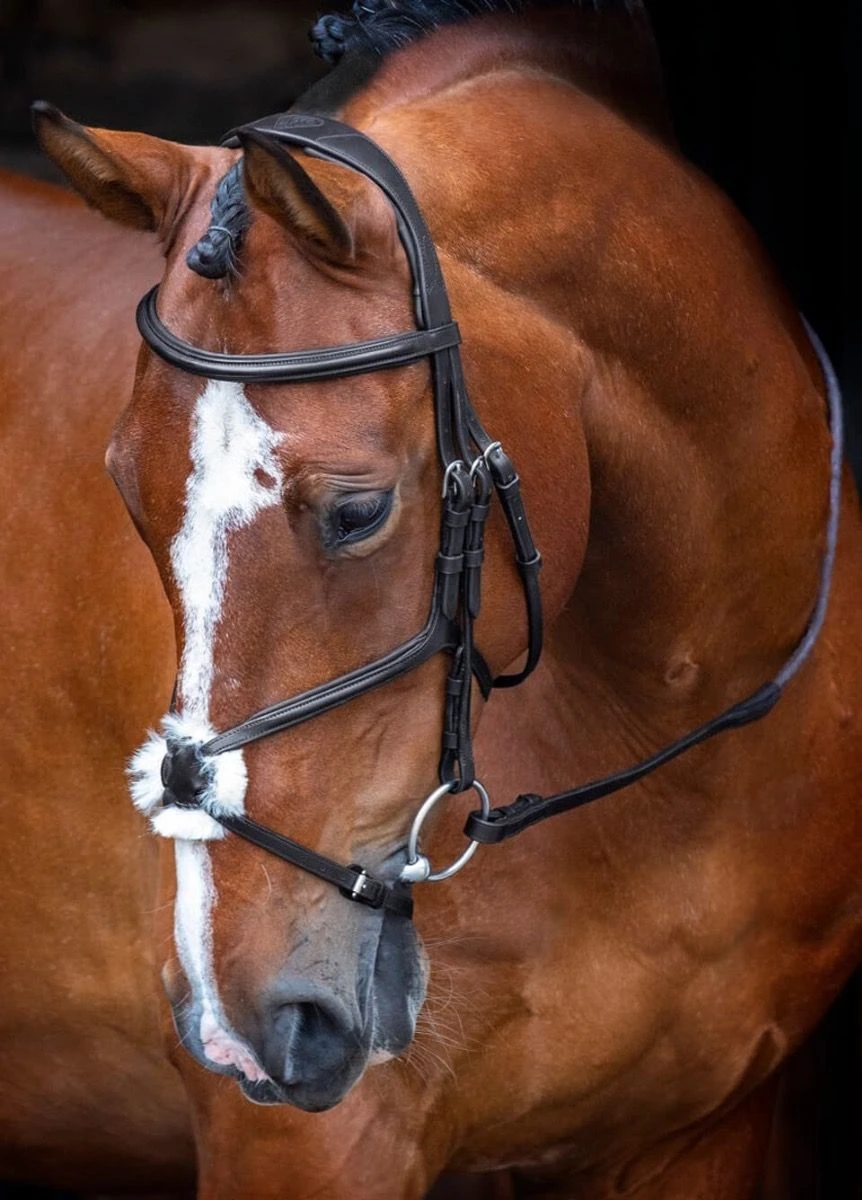 Shires Velociti RAPIDA Grackle Bridle - Black