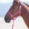 Shires Topaz Padded Headcollar - Raspberry